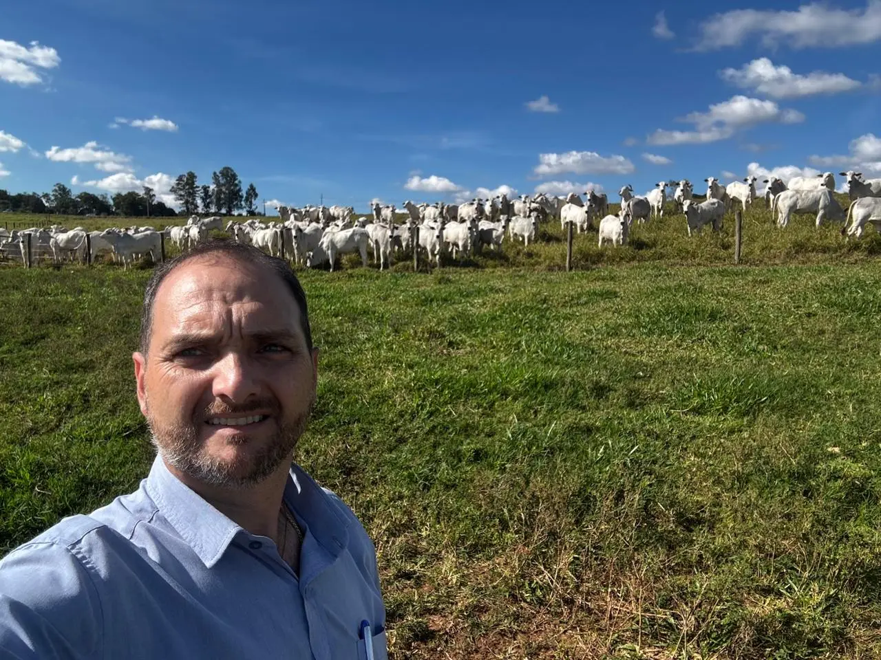Kiko no campo com o rebanho